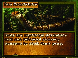 Discovery Kids Snake Safari