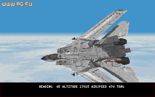 Fleet Defender: F-14 Tomcat