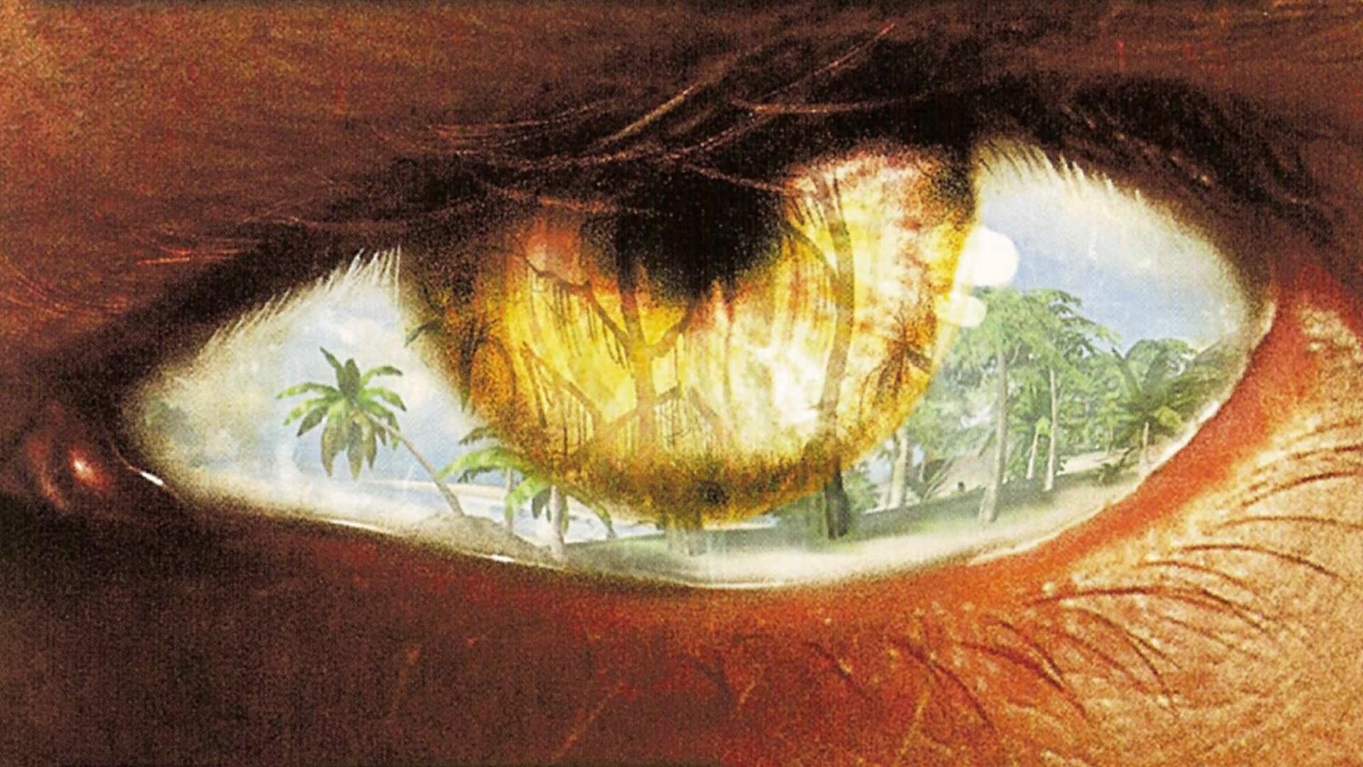 Far Cry Instincts: Evolution