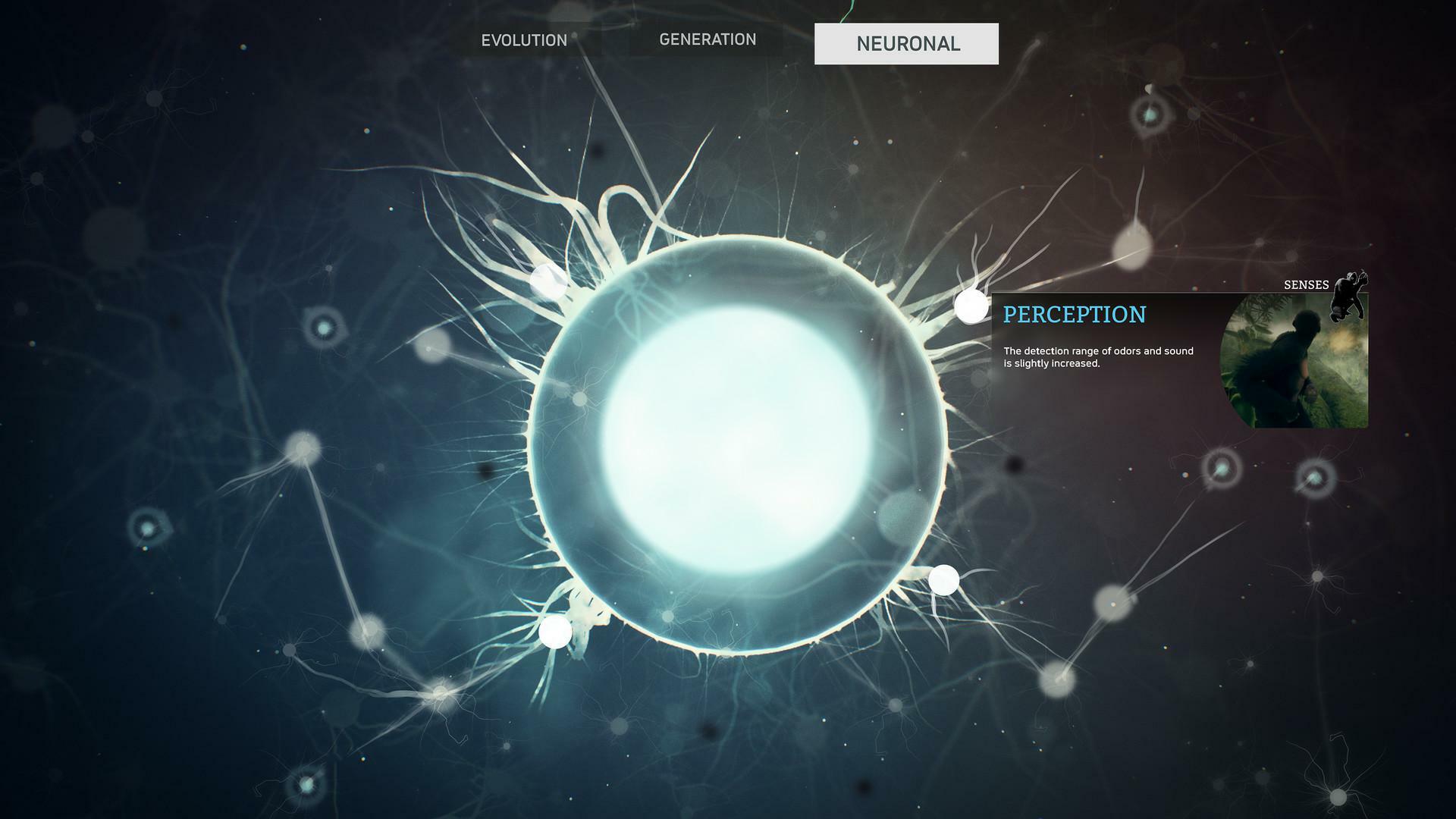 Ancestors: The Humankind Odyssey Official Soundtrack Bundle