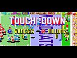 Tecmo Bowl
