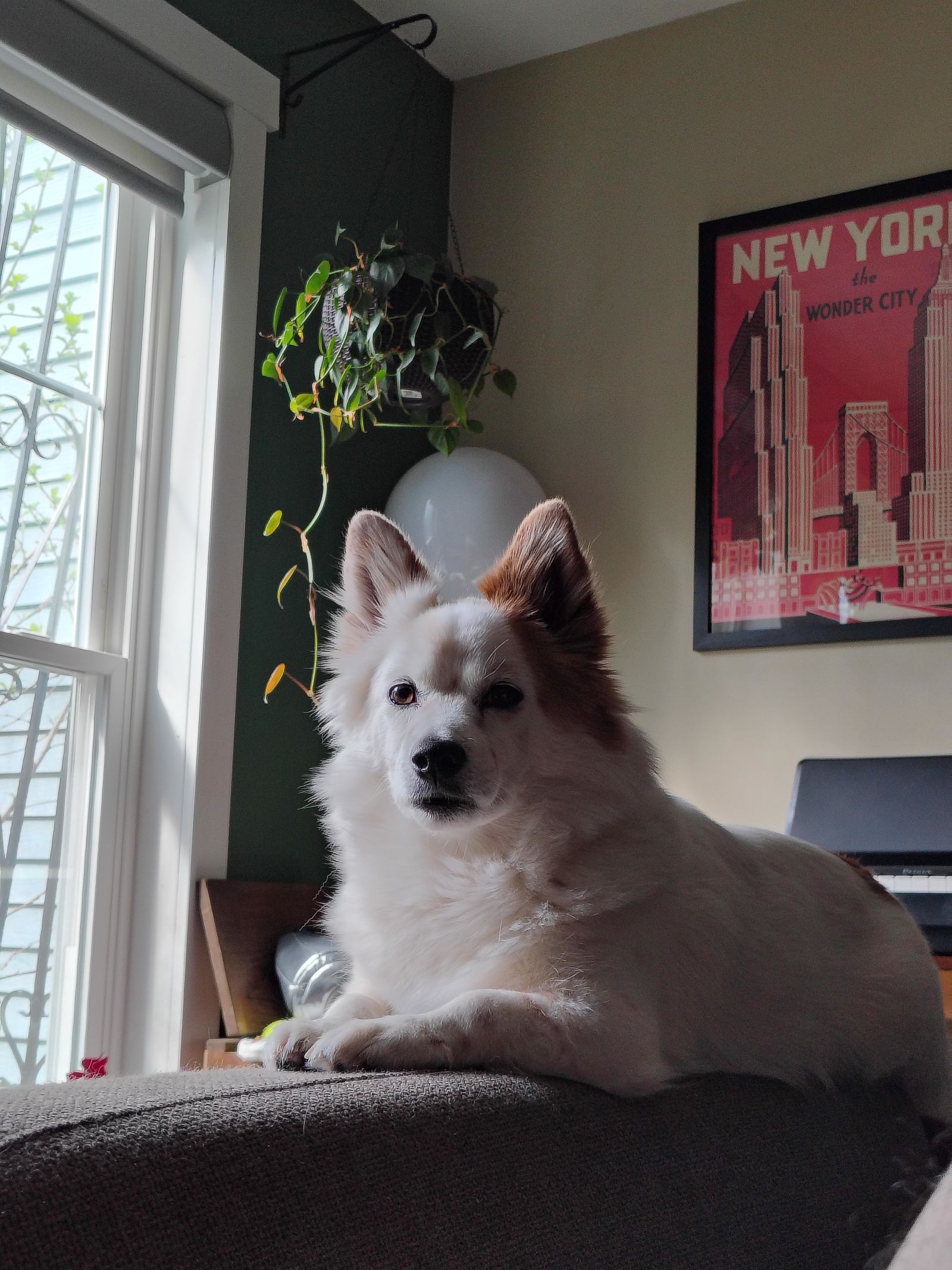 Motorola Moto G Stylus 2026 Review: Better Pen, Higher Price