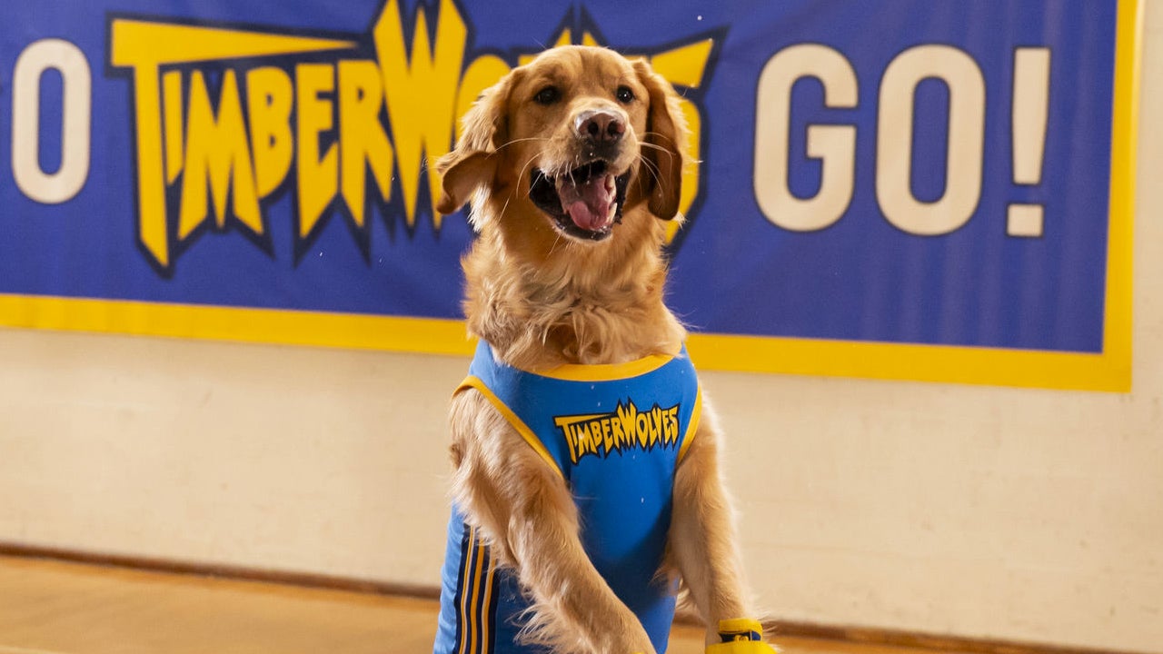 Air Bud Returns Acknowledges Original Dog Buddy Is Canonically Dead