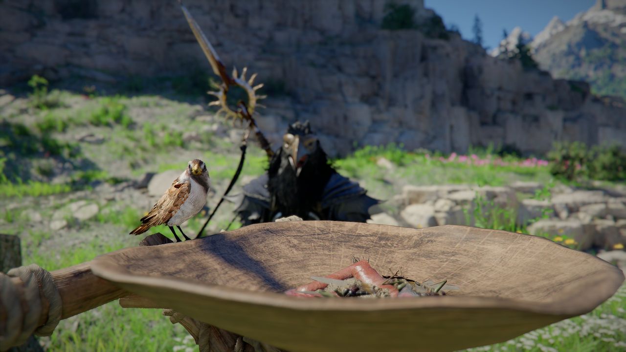 How to get the Sotdae of Bond and tame bird pets in Crimson Desert