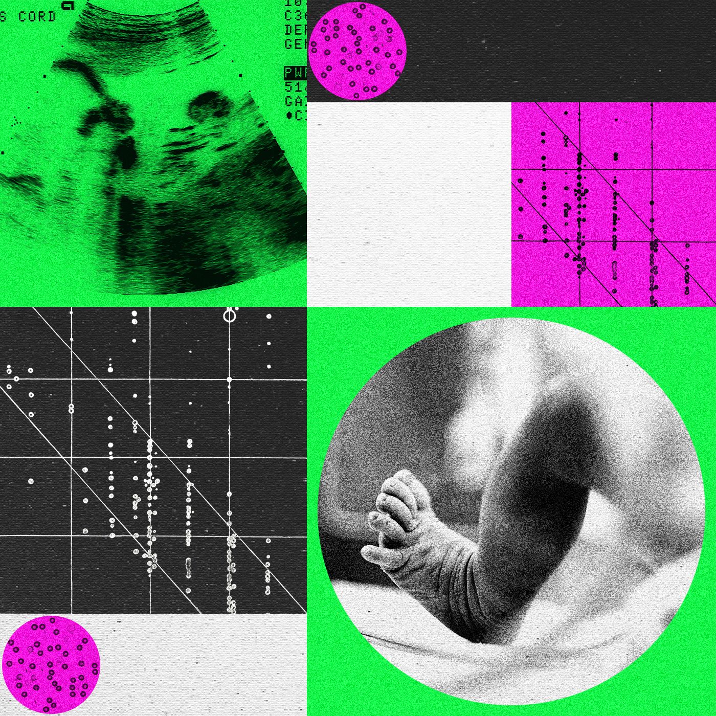 Designer Baby Companies Are in Turmoil