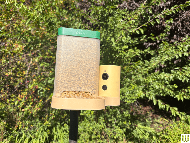 Mother’s Day Deals on Smart Bird Feeders (2026)
