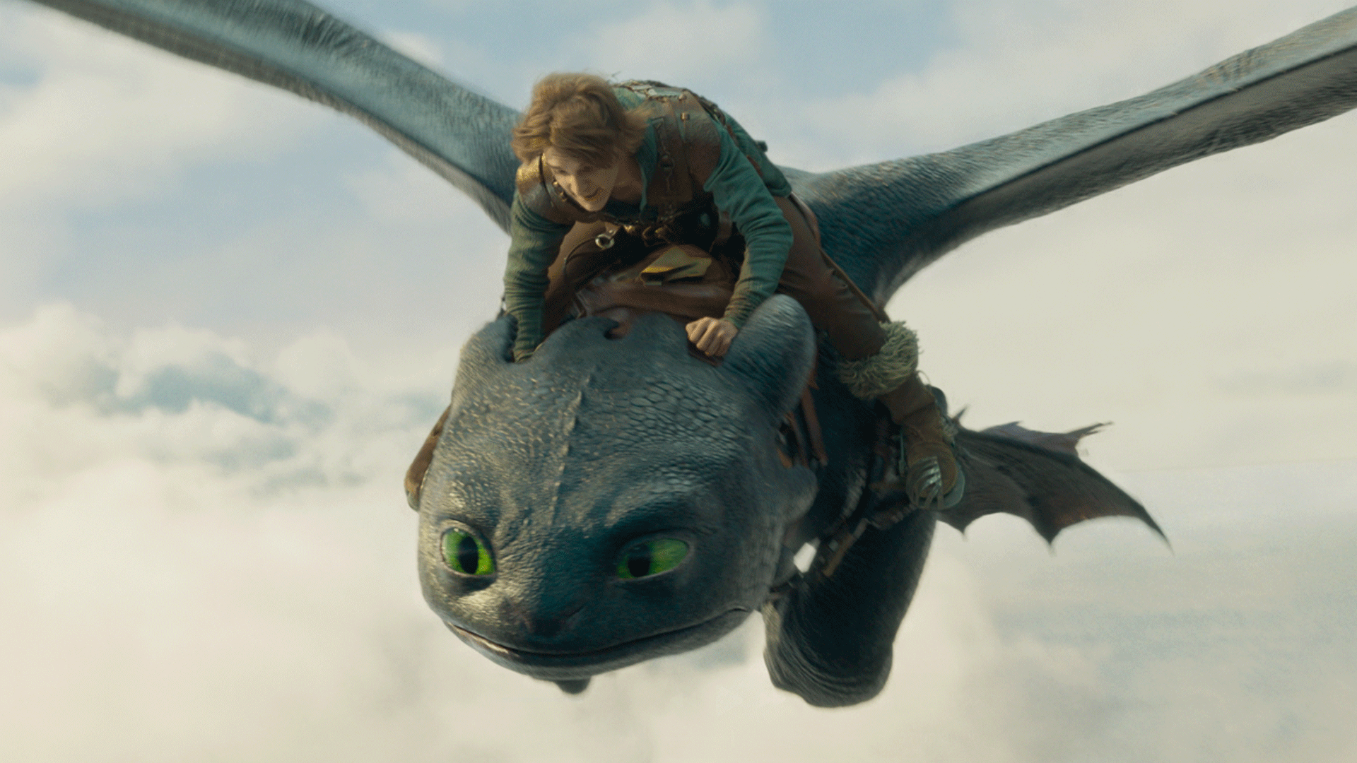 How to Train Your Dragon 2 Crew Member Suffers Major Injury