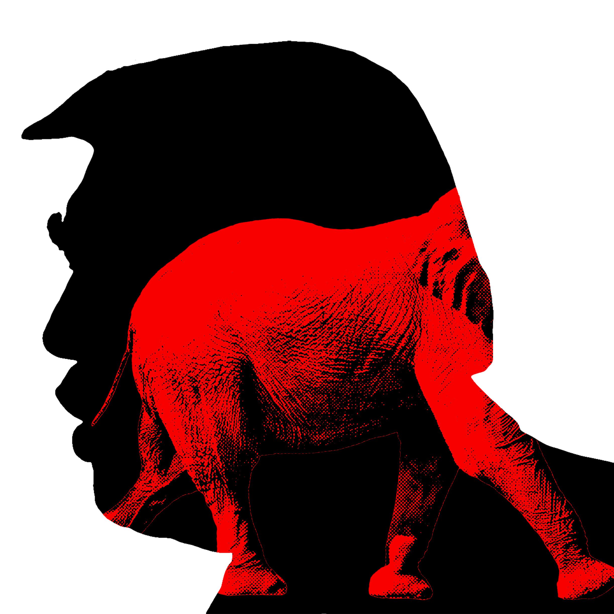 MAGA Is Starting to Look Beyond Trump