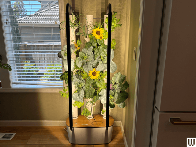 Best Indoor Garden Systems: I've Been Testing All Year (2026)