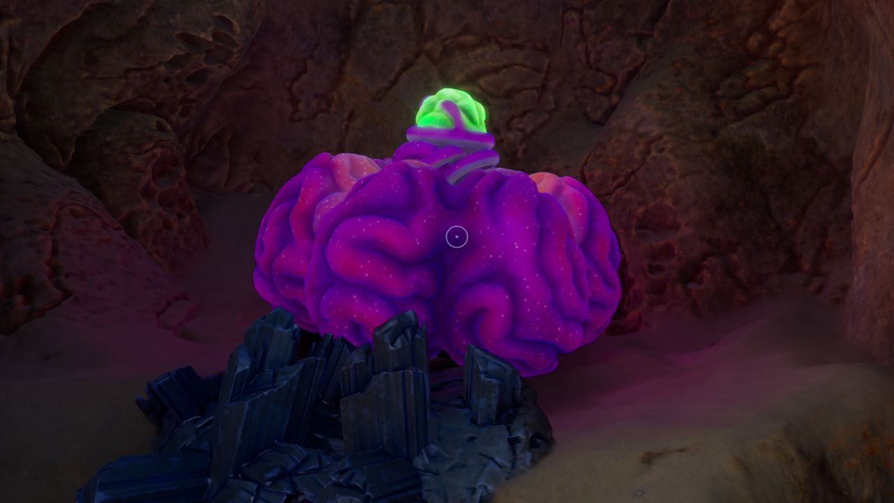 How to get Acidic Raion Pouch in Subnautica 2