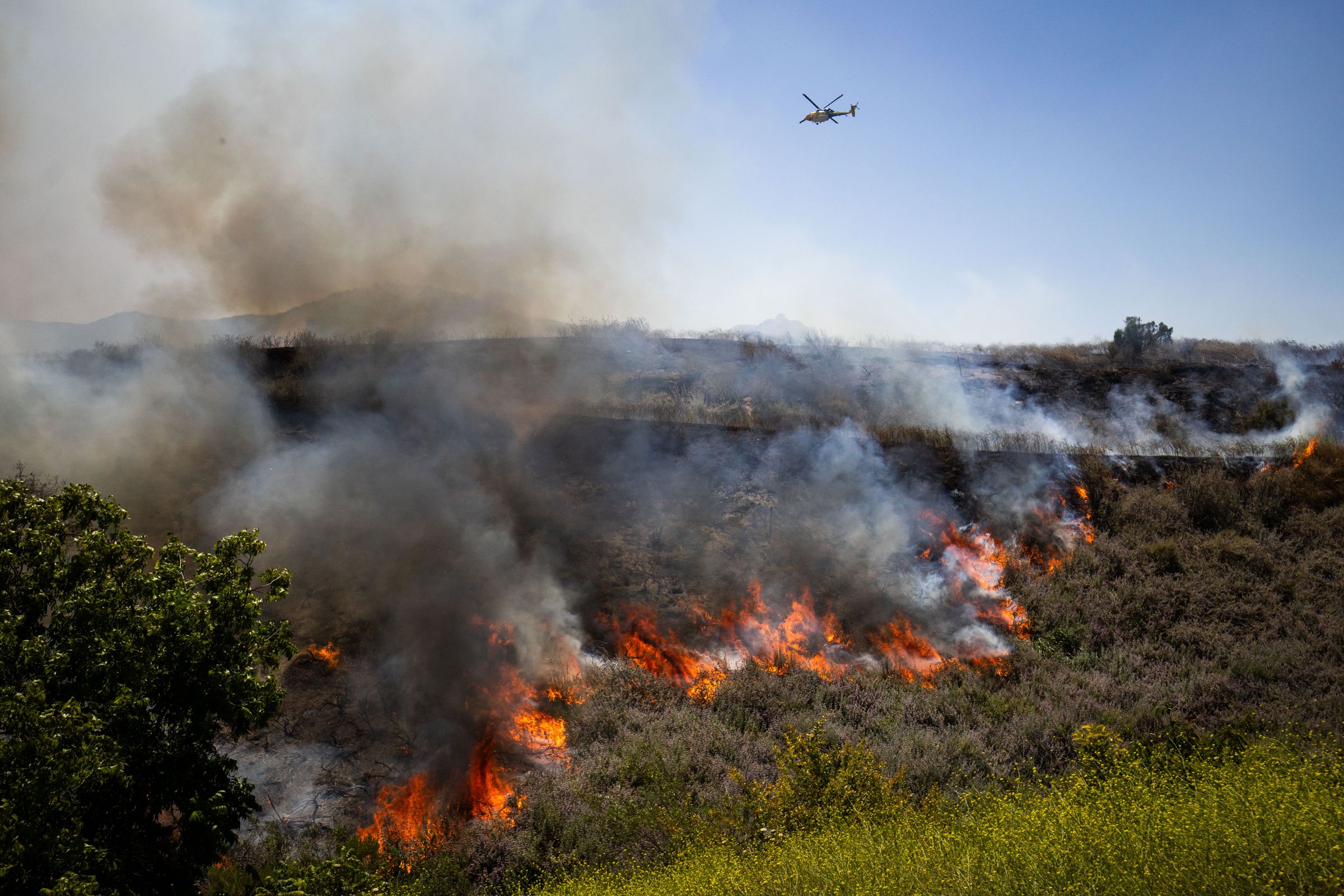California's Wildfire Season Is Already Overactive