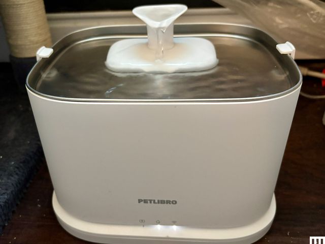 The Best Cat Water Fountains of 2026: Petlibro, Petkit, Oneisall