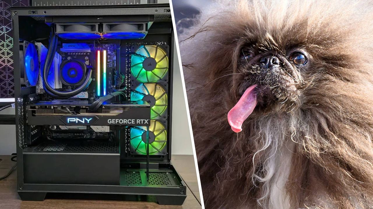 Dog tries to shoot PC gamer, but their rig (and RAM) takes the bullet instead: 'It would have hit me while I was sleeping if the PC hadn't been there'