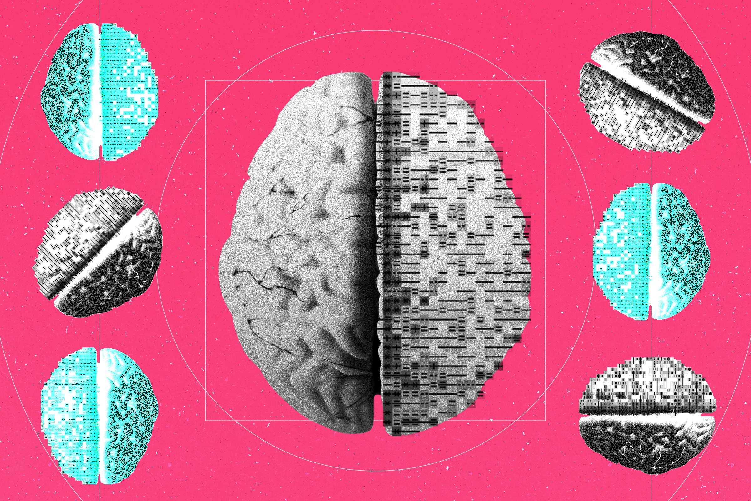 Jeff Bezos Is Funding a Wild Hunt for the Brain’s ‘Core Algorithm’