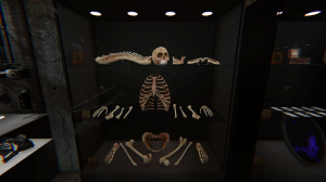 How To Find Bones In Phasmophobia